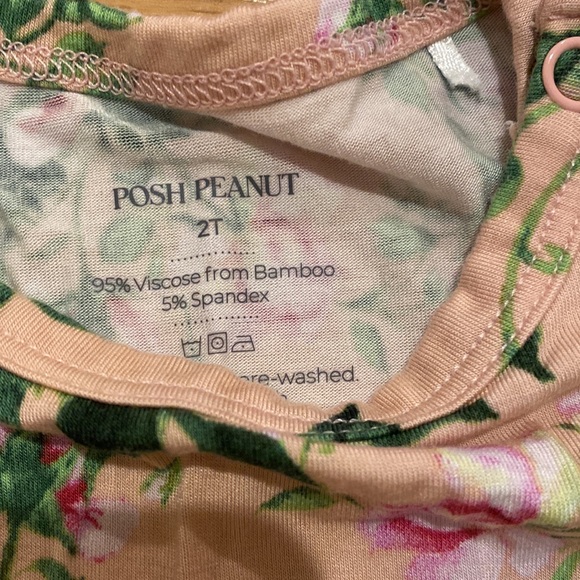 Posh peanut twirl body suit. Size 2T - Picture 3 of 3